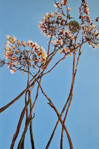 flora incognita, Gemälde Nr. 4249 / Acryl auf Leinwand